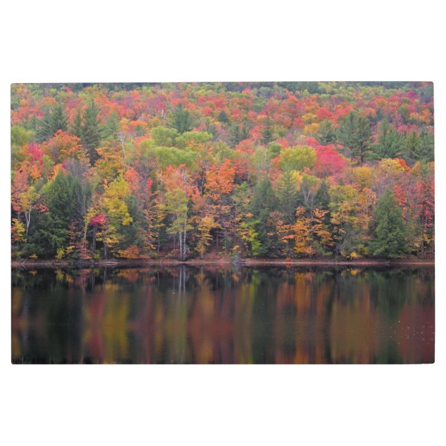 紅葉秋カラーシーンメタルウォールアート メタルプリント (正面)