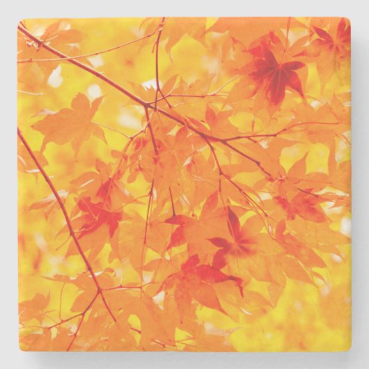 紅葉秋自然オレンジ ストーンコースター (正面)