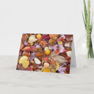 紅葉空白のメモカード カード