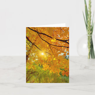 紅葉空白のnotecard サンキューカード