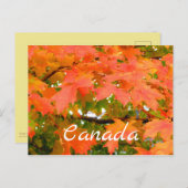 紅葉紅葉シュガーメープルツリーカナダ ポストカード (正面/裏面)