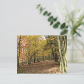 紅葉紅葉フォトホリデー ポストカード (スタンド正面)