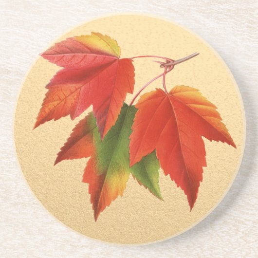 紅葉紅葉メープルリーフオン金ゴールド コースター (正面)