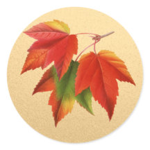 紅葉紅葉メープルリーフオン金ゴールド