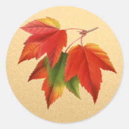 紅葉紅葉メープルリーフオン金ゴールド ラウンドシール