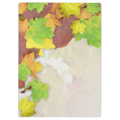 紅葉紅葉ユーザー名の追加 クリップボード (裏面)