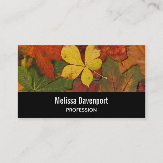 紅葉紅葉写真 名刺 (正面)