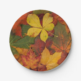 紅葉紙プレート ペーパープレート