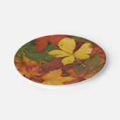 紅葉紙プレート ペーパープレート (アングル)