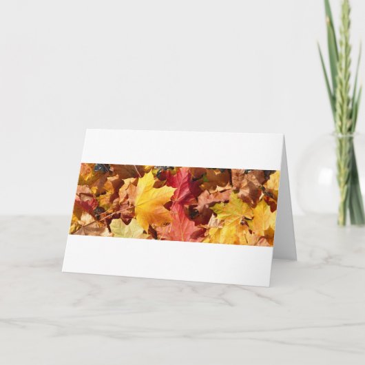 紅葉素晴らし! シーズンカード (正面)