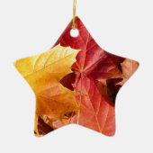 紅葉素晴らし! セラミックオーナメント (正面)