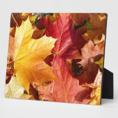 紅葉素晴らし! フォトプラーク (側面)