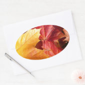 紅葉素晴らし! 楕円形シール (封筒)