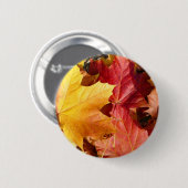 紅葉素晴らし! 缶バッジ (正面&裏面)