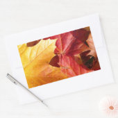 紅葉素晴らし! 長方形シール (封筒)