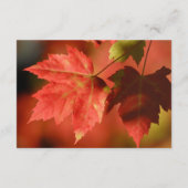 紅葉素朴秋の結婚式ゲスト詳細 エンクロージャーカード (裏面)