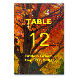 紅葉結婚のテーブルカード テーブルナンバー