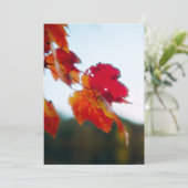 紅葉結婚式招待状 招待状 (スタンド正面)