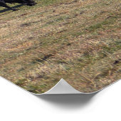 紅葉群と… ポスター (角)