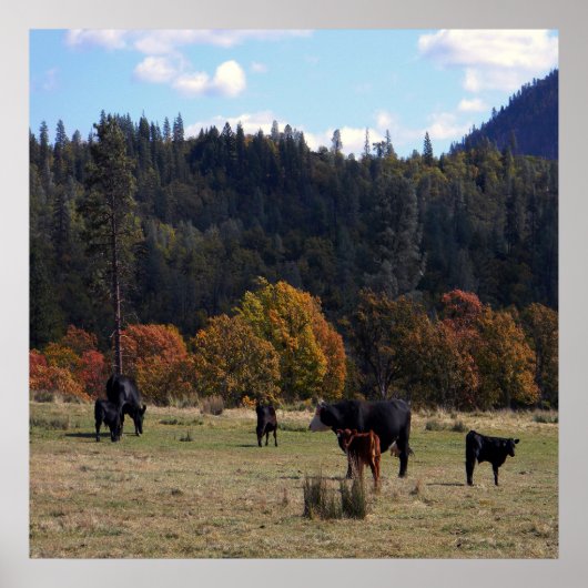 紅葉群と… ポスター (正面)