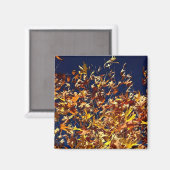 紅葉芸術的ズ対深いブルースカイ マグネット (正面/裏面)
