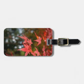 紅葉荷物タグ ラゲッジタグ (正面横)