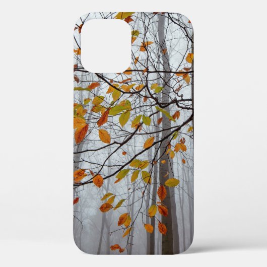 紅葉落ちた林の葉 Case-Mate iPhoneケース (裏面)
