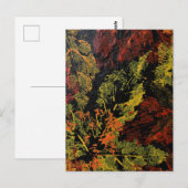 紅葉葉書 ポストカード (正面/裏面)