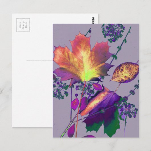 紅葉薄紫 ポストカード (正面/裏面)