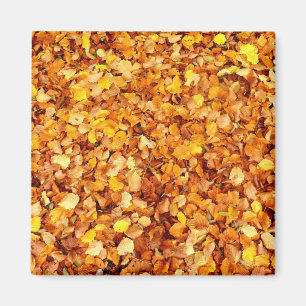 紅葉角磁石 マグネット