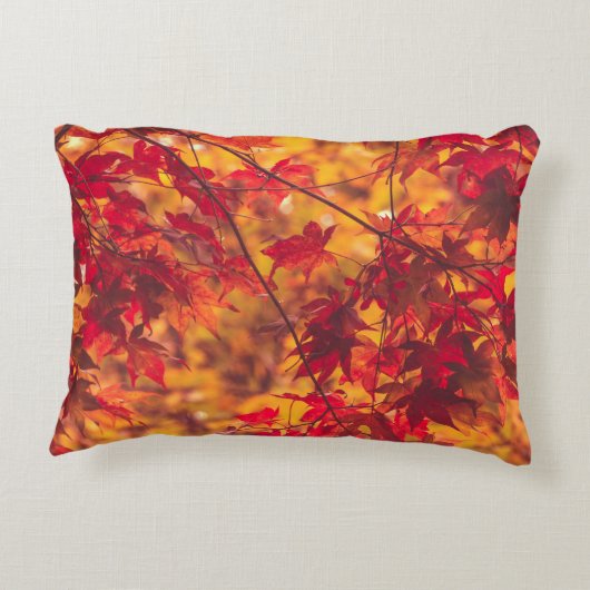 紅葉赤とオレンジ アクセントクッション (裏面)