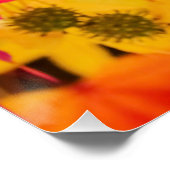 紅葉赤と黄 ポスター (コーナー)