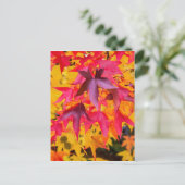 紅葉赤と黄 ポストカード (スタンド正面)