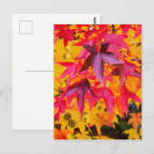 紅葉赤と黄 ポストカード (正面/裏面)