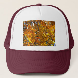 紅葉金ゴールドギフトアパレル収集品 キャップ