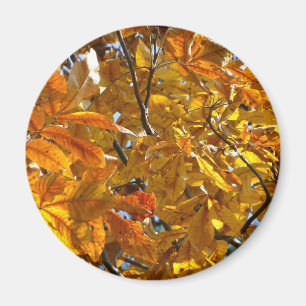 紅葉金ゴールドギフトアパレル収集品 マグネット
