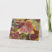 紅葉雪の冬のクリスマスカード カード (正面)