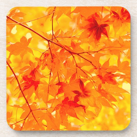 紅葉黄秋色自然 コースター (正面)