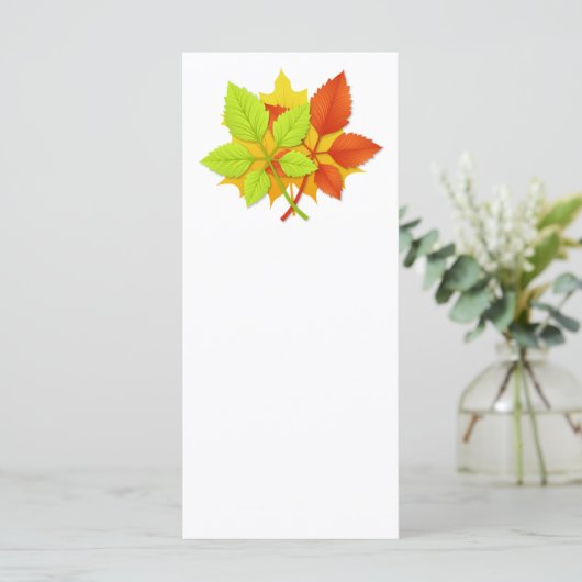 紅葉 (スタンド正面)