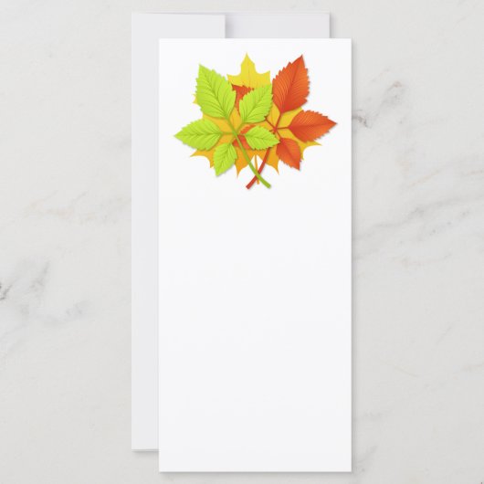 紅葉 (正面)
