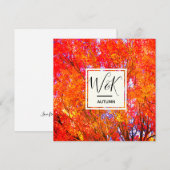 紅葉 (正面/裏面)