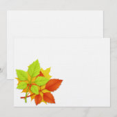 紅葉 (正面/裏面)