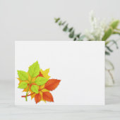 紅葉 (スタンド正面)