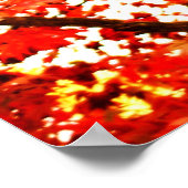 紅葉02 ポスター (角)