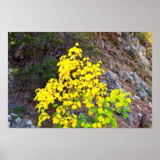 紅葉1 ポスター (正面)