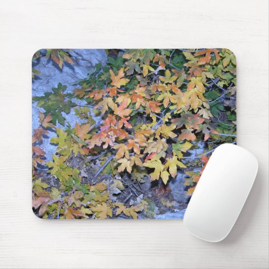紅葉1 マウスパッド (マウス)