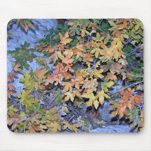 紅葉1 マウスパッド (正面)