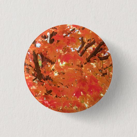 紅葉1 缶バッジ (正面)