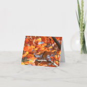 紅葉2 カード (正面)