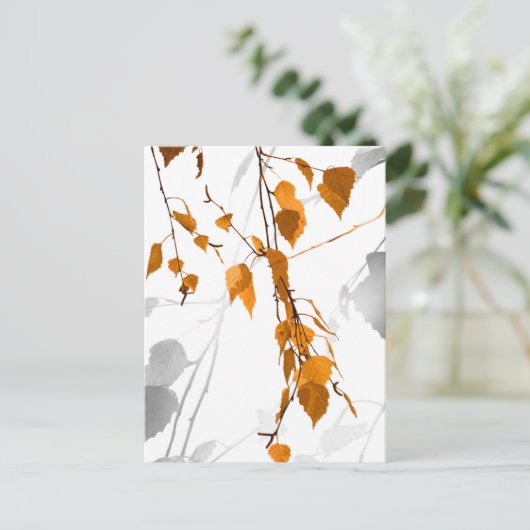 紅葉2 シーズンポストカード (スタンド正面)